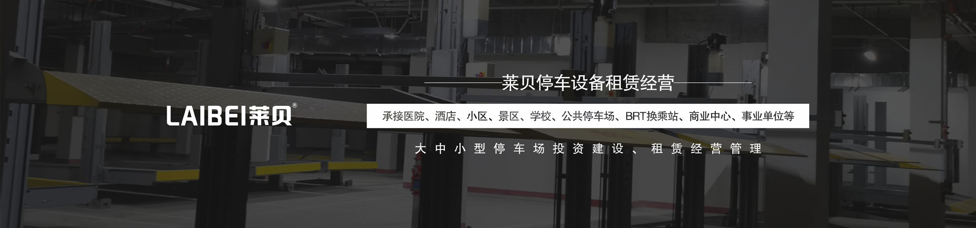 2层简易升降机械式停车库维保